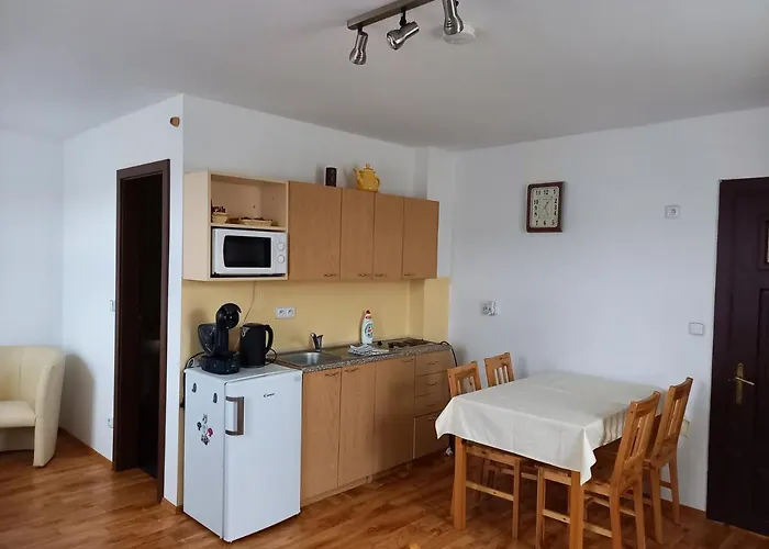 Bára